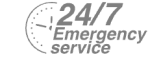 24/7 Emergency Service Pest Control in Penge, Anerley, SE20. Call Now! 020 8166 9746